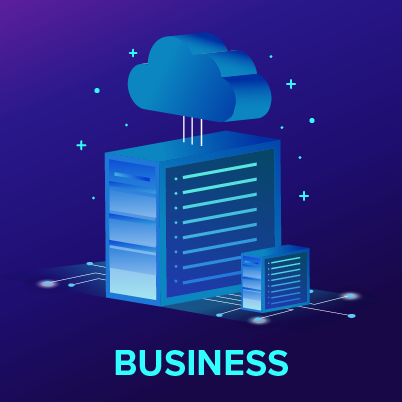 Business Hosting Plan
